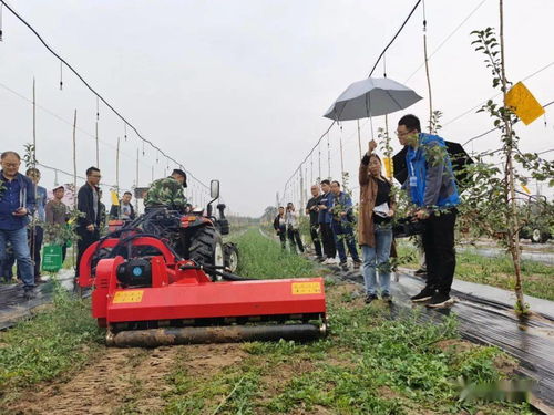 农机地头展走进中国农民丰收节